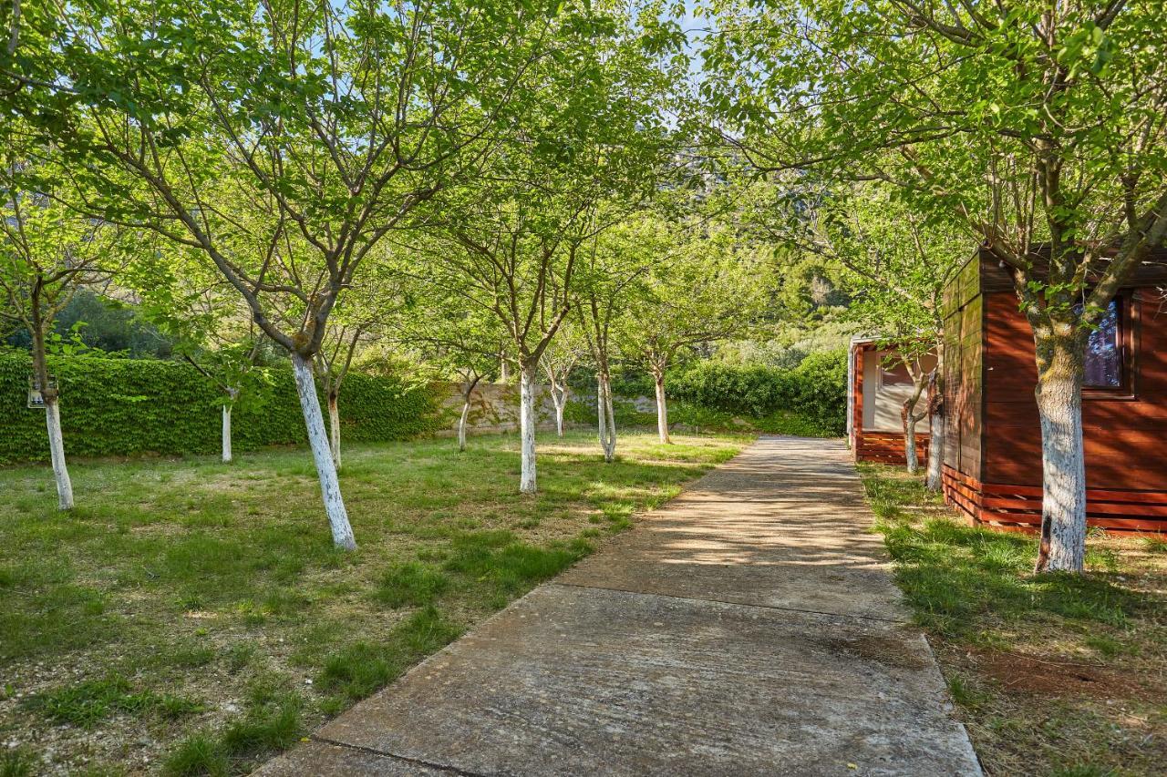 Mobile Homes Village "Mungos" Mljet Babino Polje Exterior photo